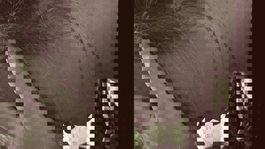 5 Signs Your Loved One May be the Victim of Drug Treatment Center Abuse